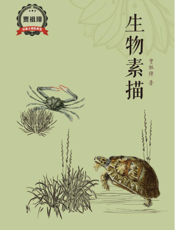 生物素描