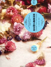 致终将逝去的青春