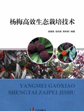 杨梅高效生态栽培技术 - 柴春燕，徐绍清，周和锋