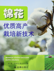 棉花优质高产栽培新技术