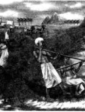 法老归来  神秘的古埃及文明_P267_13636836_北京工业大学出版社_2014.06_马兆锋编著