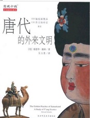 唐代的外来文明