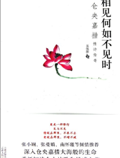 相见何如不见时