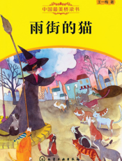 中国最美桥梁书——雨街的猫