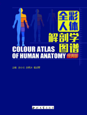 全彩人体解剖学图谱