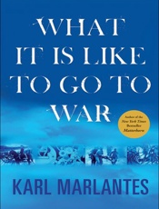 What It Is Like to Go to War - Karl Marlantes