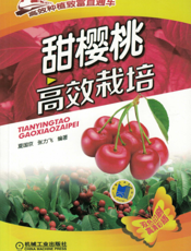 甜樱桃高效栽培