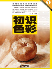 基础绘画色彩全程训练_初识色彩
