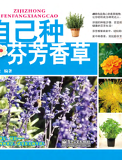 自己种芬芳香草