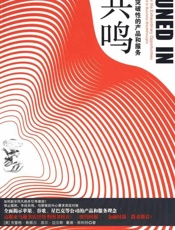 共鸣：打造突破性的产品和服务