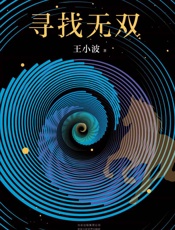 寻找无双（周年纪念版） - 王小波