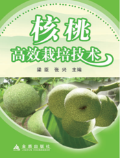 核桃高效栽培技术