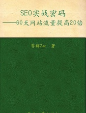 SEO实战密码_60天网站流量提高20倍
