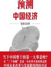 预测中国经济——名家论改革 - 张银平