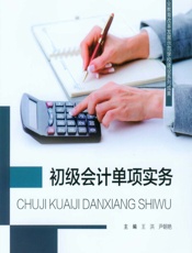 初级会计单项实务 - 王洪，尹朝艳