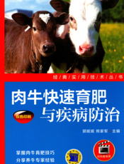 肉牛快速育肥与疾病防治