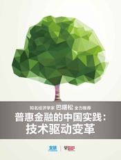 普惠金融的中国实践：技术驱动变革