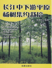 长江中下游平原杨树集约栽培