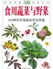 食用蔬菜与野菜 - 吴棣飞