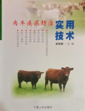 肉牛疾病防治实用技术