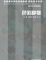 野风美术中学——色彩静物