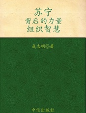 苏宁_背后的力量