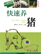 快速养猪