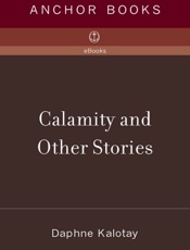 Calamity and Other Stories - Daphne Kalotay