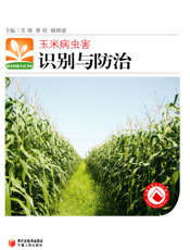 玉米病虫害识别与防治