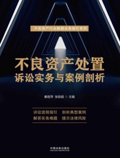 不良资产处置诉讼实务与案例剖析