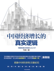 中国经济增长的真实逻辑