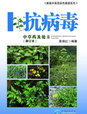 抗病毒中草药及处方