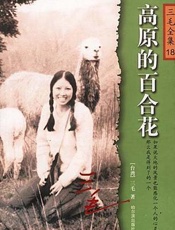 三毛--高原的百合花
