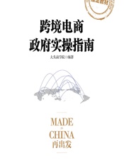 跨境电商政府实操指南 - 大头商学院编