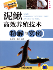 泥鳅高效养殖技术精解与实例