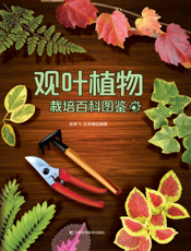 观叶植物栽培百科图鉴