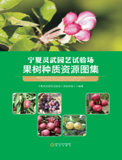 宁夏灵武园艺试验场果树种质资源图集
