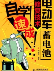 电动车蓄电池修复技术自学速成