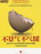 不景气不气馁 - 吴晓波