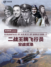 二战王牌飞行员空战实录