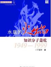 水底的火焰：知识分子萧乾：1949-1999 - 丁亚平