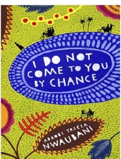 I Do Not Come to You by Chance - Adaobi Tricia Nwaubani