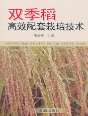 双季稻高效配套栽培技术