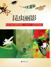 昆虫丽影