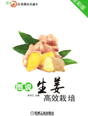 图说生姜高效栽培（全彩版）
