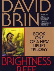 Brightness Reef - David Brin