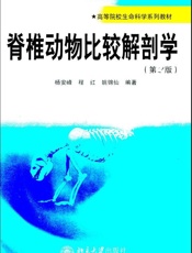 脊椎动物比较解剖学