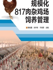 规模化817肉杂鸡场饲养管理 - 杨柏萱，孙开东，于培军