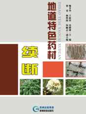 地道特色药材续断