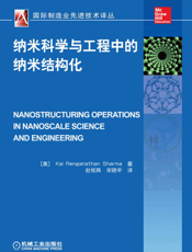 纳米科学与工程中的纳米结构化